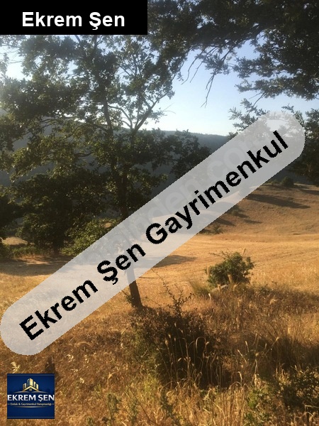 5.306 dönüm tarla