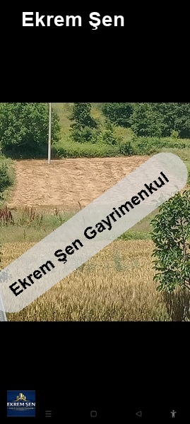 eminpınar köy içi fırsat arsa susurluğa 20 dk 15 km pazarlık var