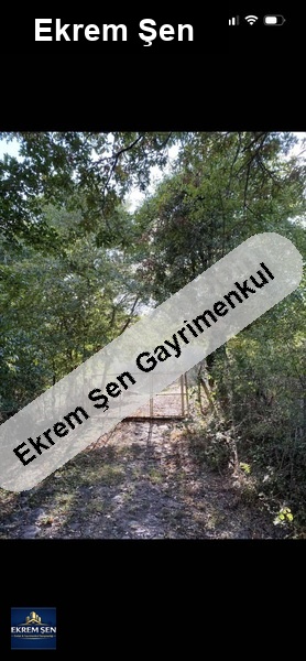 satalık tarla(full manzara bol oksijen)