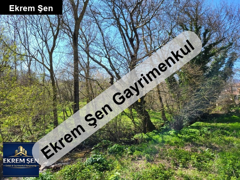 köy girişinde dere kenarı resmi yolu olan mükemmel