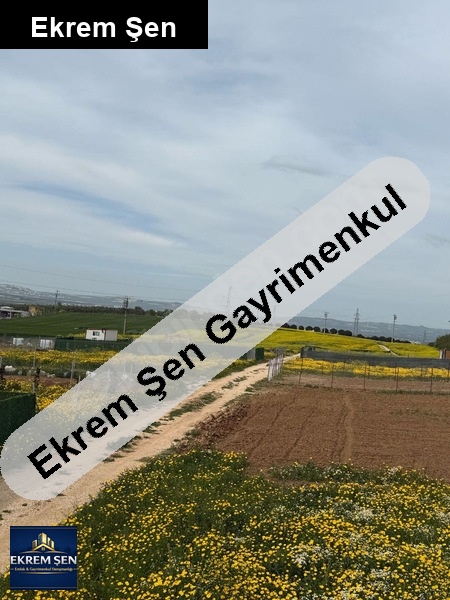 bandirma doğruca debleke satilik parseller