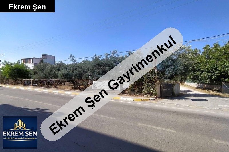 sahi̇bi̇nden satilik turi̇zm i̇marli zeyti̇nli̇k