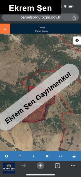 sati̇li̇k tarla