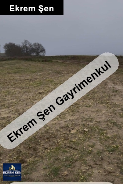 balikkesir kara'si armutalan mahallesi 6 dönüm