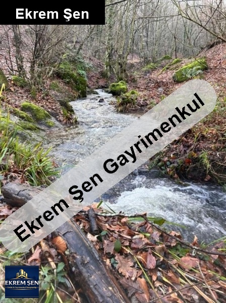 7 dönüm dere kenarında