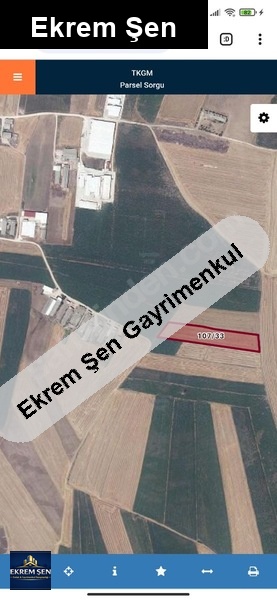 doğanpinar mahallesi̇nde sahi̇bi̇nden yatirimlik tarla