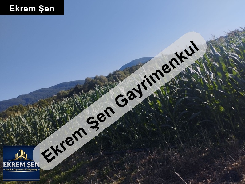 satilik tarla( sulu tarima uygun)