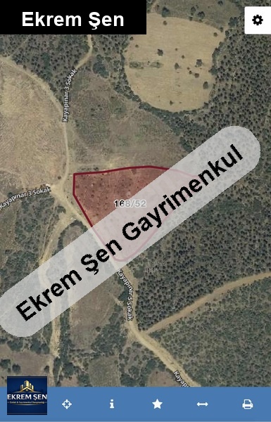 sahi̇bi̇nden aci̇lll satilik 12,5 dönüm tarla!!!