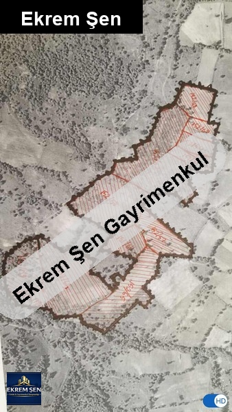 sahibinden ges/res/ceviz/tarim ve hayvancılığa uygun toplu arazi