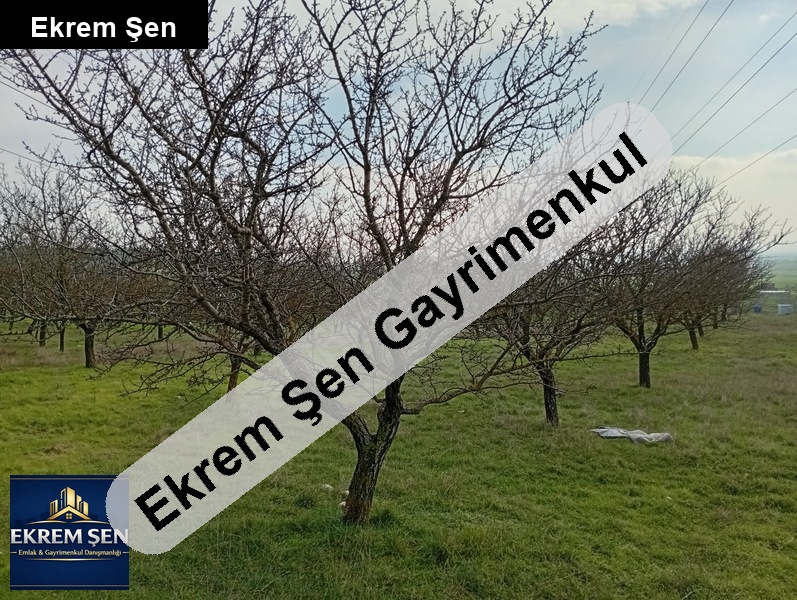 köylüköyü mahallesi̇nde satilik tarla