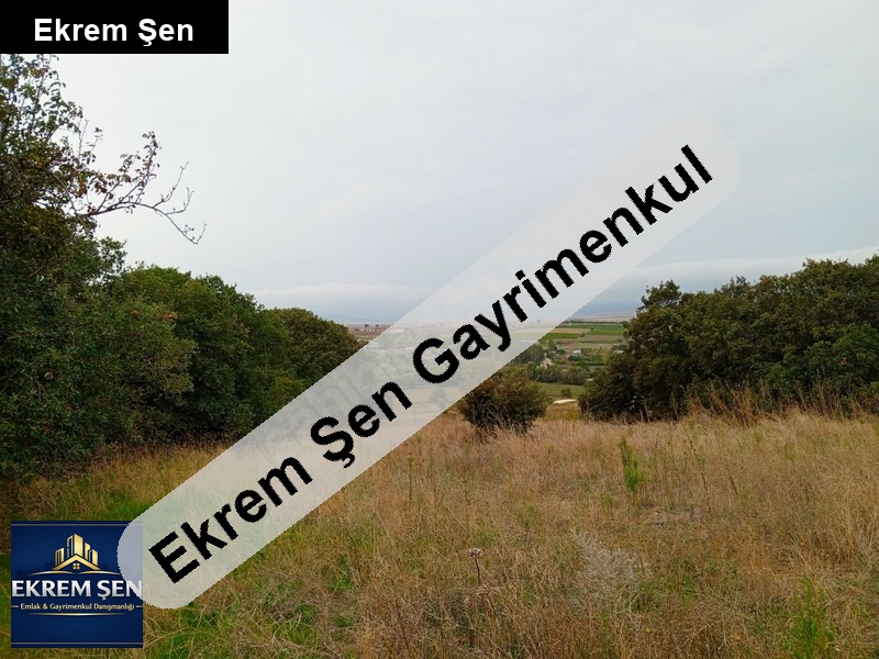 yeni ziraatli köyünde 3.9 dönüm yolu açık tarla, zeytinlik olur