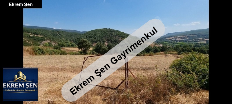 gönen geyi̇kli̇de doğa orman manzarali