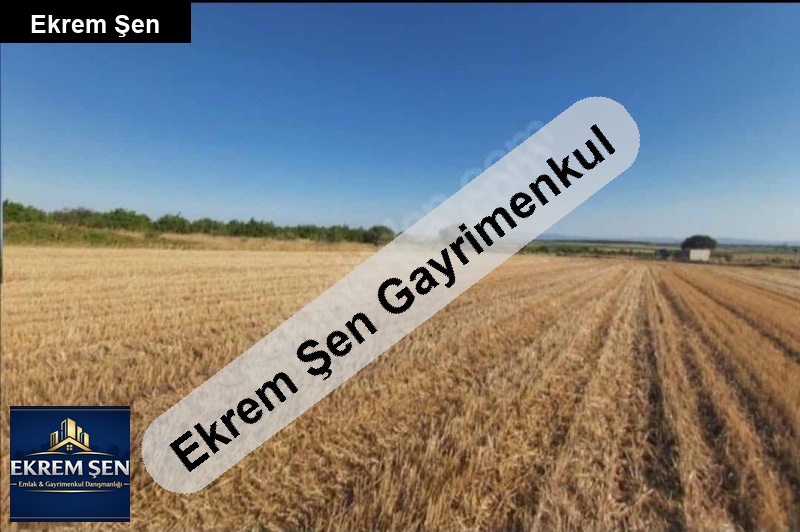 9004 metrekare fabri̇ka di̇bi̇nde geleceğe yatirimlik tarla