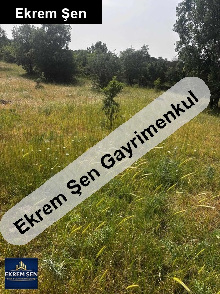 acil sahibinden 8636m2 tarla