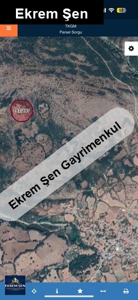 balyada mükemmel yatirim firsati!!!