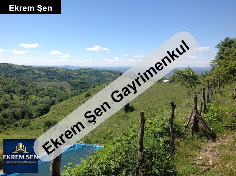 balikesi̇r gönende 74 dönüm tek parsel 14 yillik cevi̇z bahçesi̇