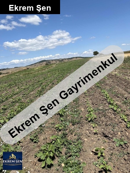 sahibinden satılık tarla