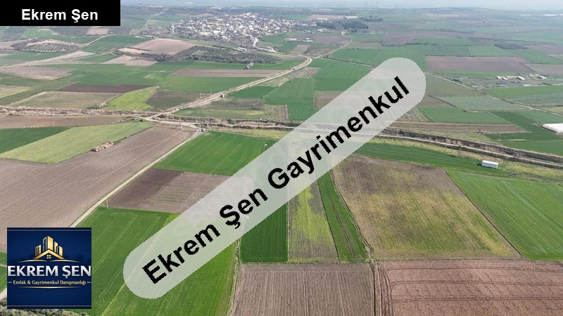 bandırma yeni yenice köyü su altı tarla