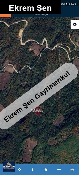 müstaki̇l tarla
