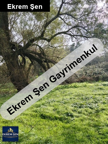 sahi̇bi̇nden satilik arsa