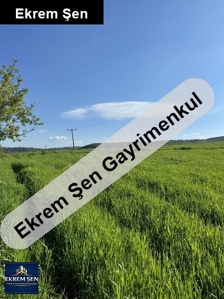 tek tapu tarla balikesi̇r gönen ulukir