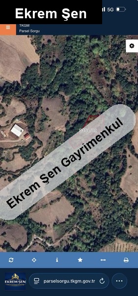 dere kenarında sulu tarla