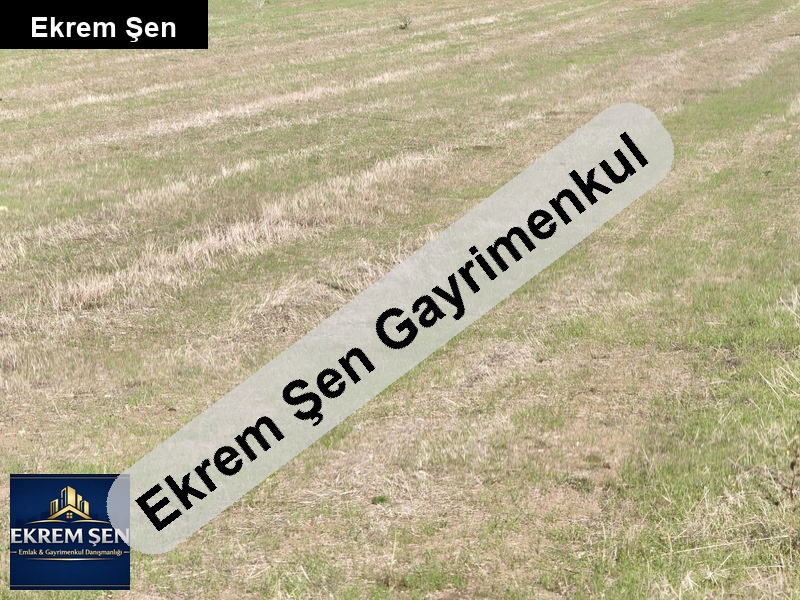 bu paralar yer kalmadı fırsat arazi