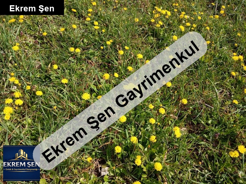 yerleşime yakın, kadastro yolu var, yeşillikler içinde