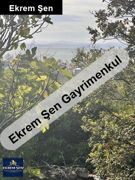 balıkesir ocaklar sahibinden deniz manzaralı zeytinlik