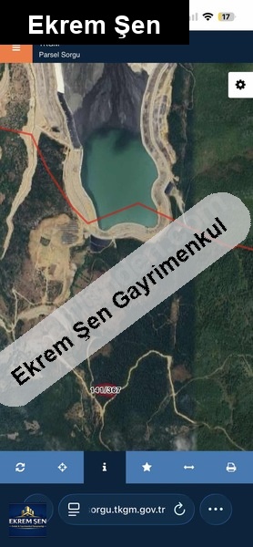 çakallar'da sahi̇bi̇nden satilik