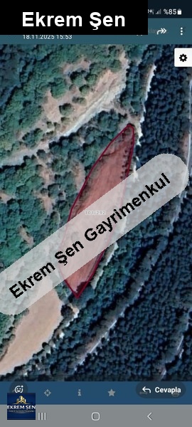 değirmendere yolu üzeri