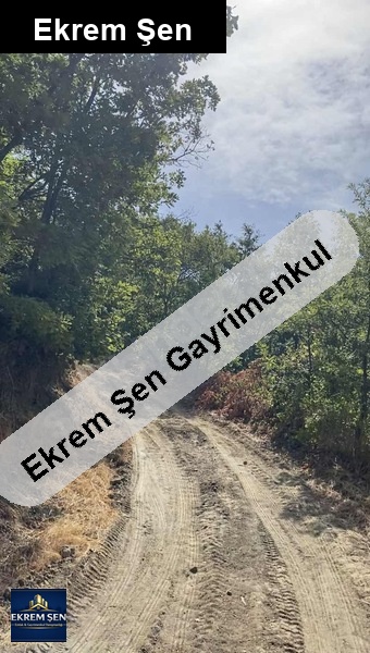 tapu sahi̇bi̇nden aci̇l satilik arazi̇, orman yolu var