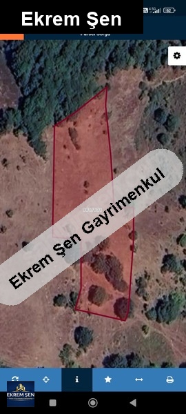 son fiyat başkada olmaz