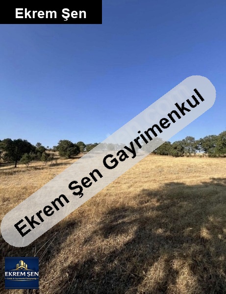 altıeylül dallımandıra da yatırımlık tarla