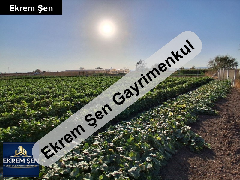 acil satılık... sahibinden. hobi ve yatırım için uygun.