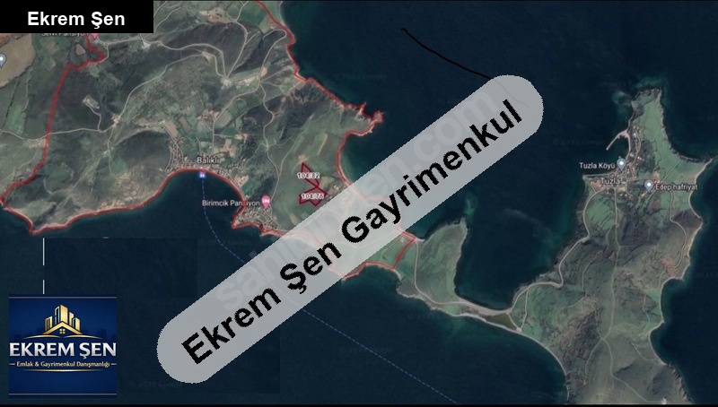 aci̇l..fi̇yat düştü paşali̇mani adasi balikli'da koop. hi̇ssesi̇
