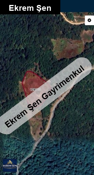 beyoluk'ta orman evi yapımına uygun geniş fırsat arazi