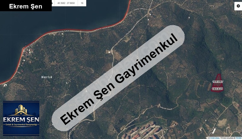 edi̇nci̇kte deni̇z manzarali toki̇ yakininda zeyti̇nli̇k