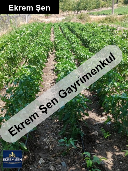 güzel konumda hobi̇ bahçesi̇