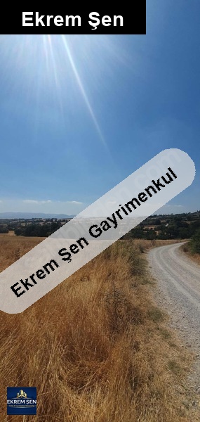gönene 5 km mesafede | resmi̇ yola 48 m cepheli̇ 3164 m² tarla