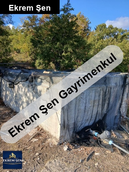 satilik cevi̇z tarlasi