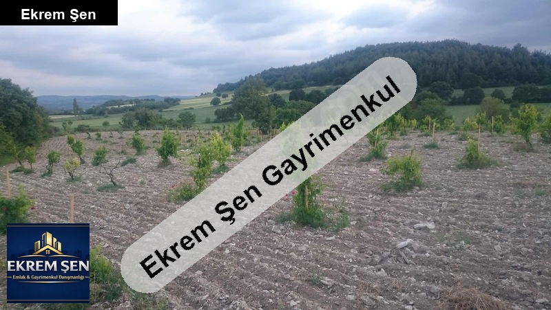 sahibinden satılık tarla 6000m2