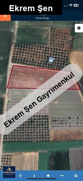 satilik cevi̇z bahçesi̇ (takas teklifleri değerlendilir)