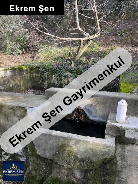 suyu ve yolu havuzu olan