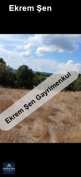 bölgeni̇n en ucuzu balikesi̇r gönen