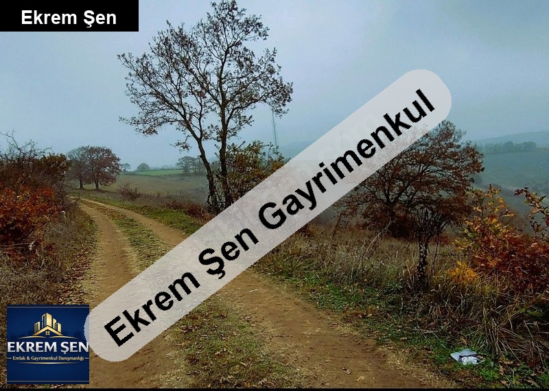 balıkesir merkeze yakın 6 dönüm tarla kadastro yoluna cephe