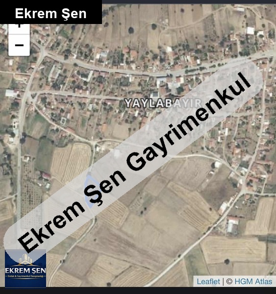 konteyner koy hayatini yaşa