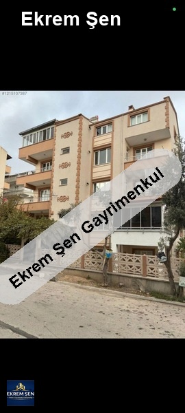 aile apartmaı