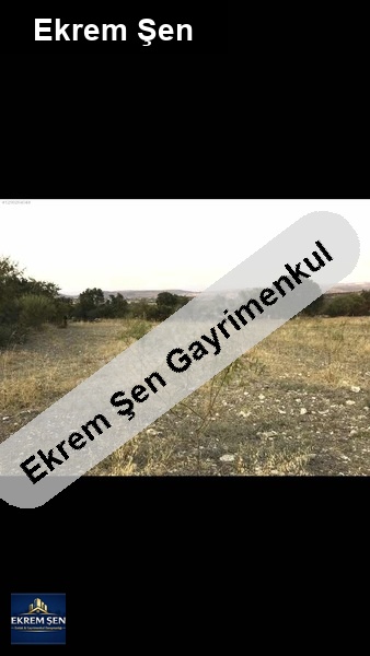 merkeze yakın 2 dönüm