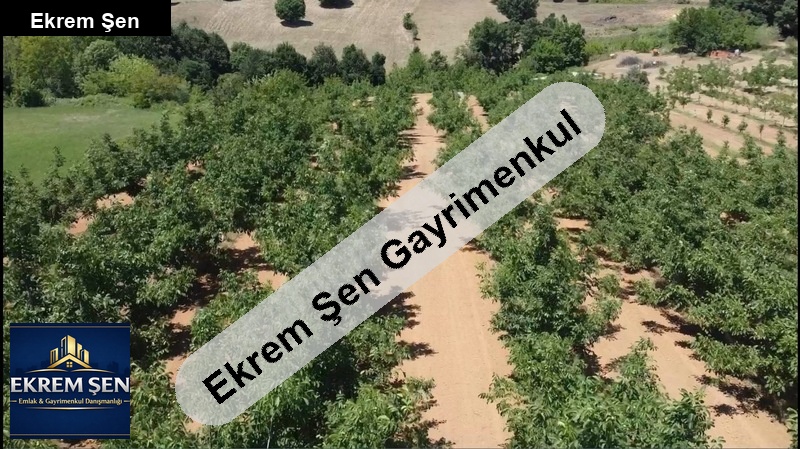 satilik çi̇ftli̇k (kaynak suyu var)